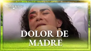 Rosalía pierde a su bebé | Monteverde 1/4 | Capítulo 66