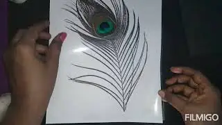 Peacock feather frame #simple frame making #easy and simple frame making for students # frame