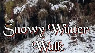 Snowy walk with huge Icicles