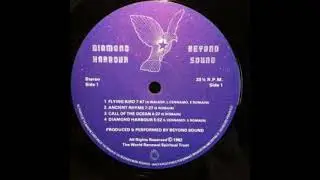 Beyond Sound &ndash; Diamond Harbour :  Rock, Pop, Folk, World, & Country, Folk, Psychedelic Rock 1982