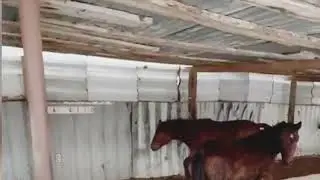 Schöne Grüße aus Kasachstan. 😍🥰🤩приветик из Казахстана. 
