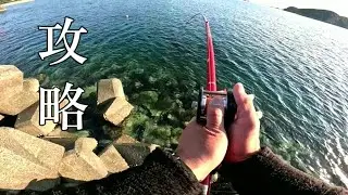 【ヤエン釣り】徳島漁港　ダイレクトリールで釣りました！１日目（前編）