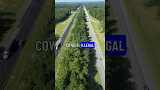 Reverse Cowgirl in Alabama Joke