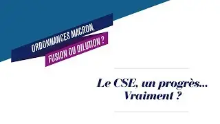 Le Comit&eacute; Social et &Eacute;conomique, un progr&egrave;s&hellip; Vraiment ?