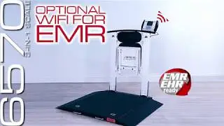 Detecto 6570 Portable Wheelchair Scale with Handrail and Seat