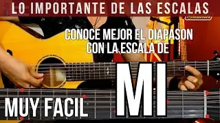 #3 Escala Mi (E) - Conoce mejor el diapasón - Requinto Campirano