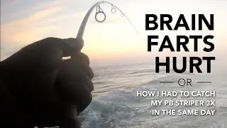 Brain Farts Hurt &ndash;or&ndash; How I had to catch my PB Striper 3x in the Same Day