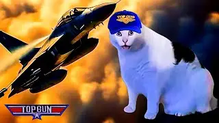 Fighter Pilot Secret Mission: Paris, France! 🎯 Funny Cat