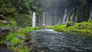 ADHD Relief Music Deep Focus Music for Better Concentration, Study Music