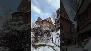 Toronto after the snowfall ❄️ #torontowinter #torontovideos #canadawinter #wintervibes #snowwhite