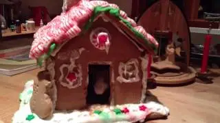 Worlds best rat cage
