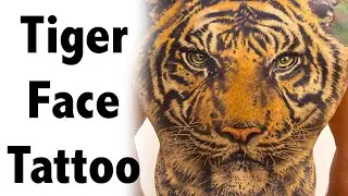 ✅ Tiger tattoo, tattoo of tiger face, start to finish