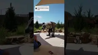 POV: Outside of a full body T-Rex Puppet as a Puppeteer