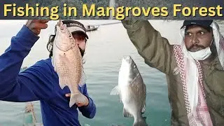 Karachi Mangroves Fishing 2022 | Gharo to chan creeck fishing | Fishing in Karachi | Karachi Fishing