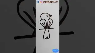 Fly With Me Through This Simple Bird Sketch! #trending #art #birddrawing