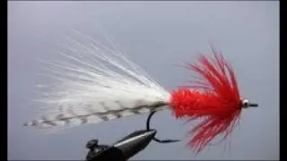 Flashtail Whistler, Red & White