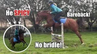 Jump my SPICY pony! No bridle & bareback!!