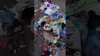 🔵 حالة مأساوية في أحياء الدروة.. شوارع غارقة وانتشار الأزبال والكلاب الضالة