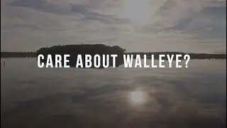 Walleye Watch on Lake Scugog