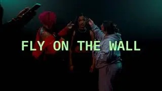 TYLER LEWIS - fly on the wall (Lyric Video)