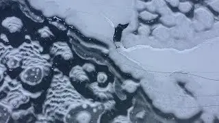 Sebago Lake Ice | Winter in Maine : drone photography