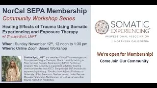 Healing Effects of Trauma Using Somatic Experiencing and Exposure Therapy