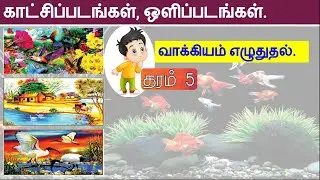 தரம் 5 | காட்சிப்படம், ஒளிப்படத்தை அவதானித்து இலகுவாக வாக்கியம் எழுதும் முறைகள். scholarship exam