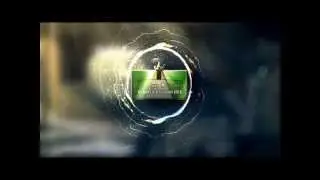Paradigm Coaching testimonials
