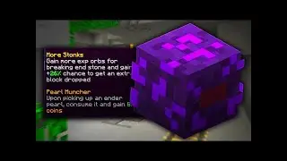 Did sacks buff the endermite pet? (money when using any pet) | Hypixel skyblock