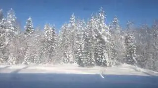 Northern Sweden - a view through the train window #2