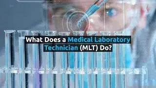 What does a Medical Laboratory Technician do?