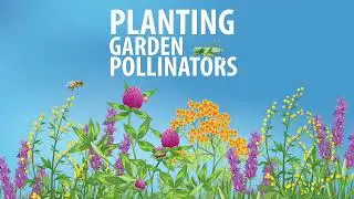 The Lane Libraries Present: Attracting Pollinators