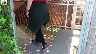 Castulo