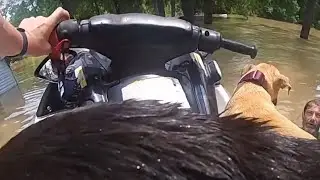 Officer Rescues Man & 3 Dogs from Kingwood Floodwaters | Houston Police