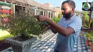 Rama's Villa & Family Restaurant || Desi Safar || Ayodhya 