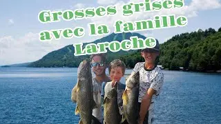 Grosses  truites grises avec la famille Laroche au lac Memphrémagog #pêche #videopeche #truitegrise