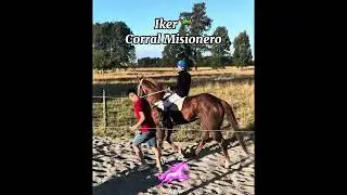Maximo 🆚Iker📍Centro Hipico Las Beatas🏇01/02/2025