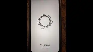 Обзор Wise Phone_обновление за ноябрь 2022 г.