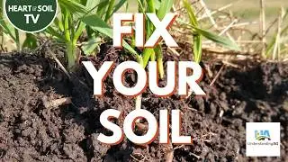 Understand Your Soil&mdash;Regenerative Soil Health Principles&mdash;Tips from Gabe Brown #regenerativefarming