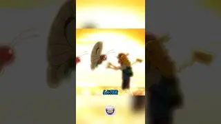What Happened to Ash&rsquo;s Released Pok&eacute;mon?
