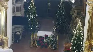 Transmisja z Katedry Tarnowskiej
