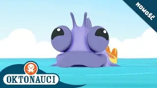 Oktonauci -  🪸 i rozbitkowie i ślizgowiec 🐠 | Cały odcinek 27 | Seria 1