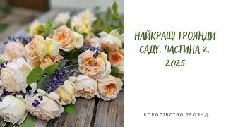 Albéric Barbier, Guirlande d'Amour, Purple Skyliner і ще багато троянд сезону 2025