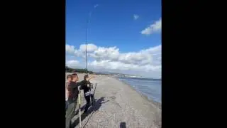 leccia  amia da riva di Rosario
