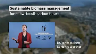 Dr. Vanessa Burg: Sustainable biomass management for a low-fossil-carbon future