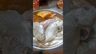 paradeep baliplot fish market