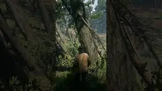 UBICACIONES SECRETAS DE RED DEAD REDEMPTION 2 Parte 2