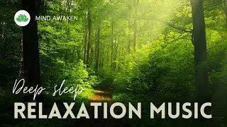 Relaxing music for sleeping: The best brain functioning tool!