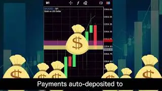 Trader Cashback【English】