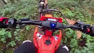 Tahuya Single Track